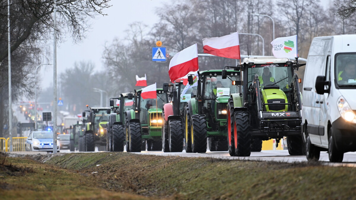 W całym kraju protestują rolnicy. Wiceminister rolnictwa przeciw własnemu rządowi?