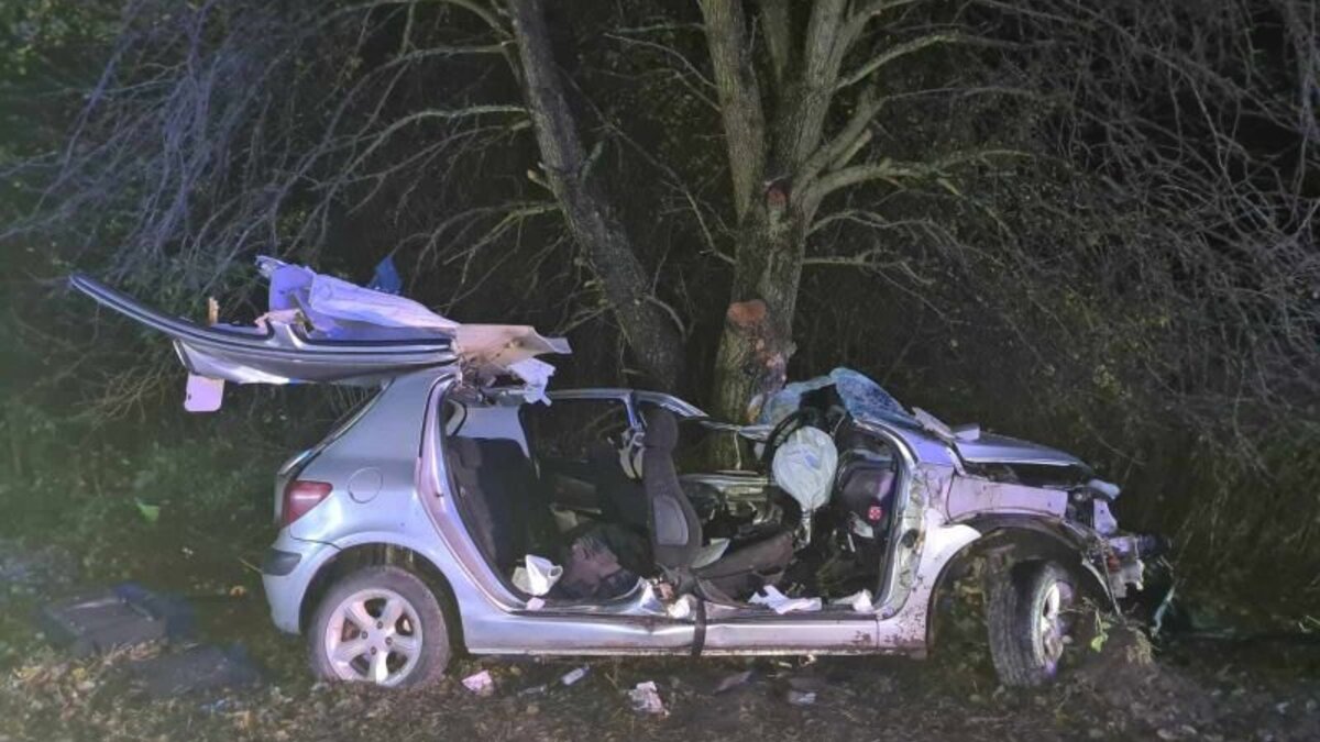16-letni kierowca uderzył w drzewo - samochód zabrał rodzicom