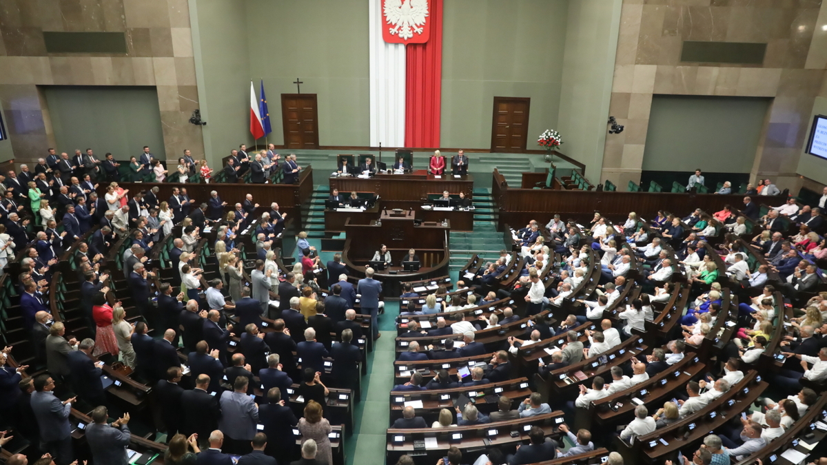 Projekt ustawy "W obronie polskich lasów" w Sejmie. Posłowie zadecydowali o jego dalszym losie. Teraz ustawa będzie czekać na dalsze losy w Senacie