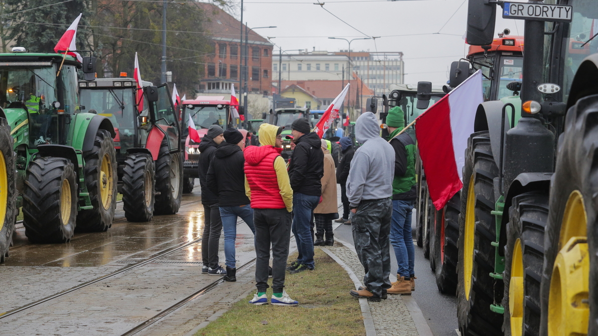 Tak taniej pszenicy nie było od lat. To kolejny cios w polskich rolników. "Jeden rok i będzie koniec rolnictwa"