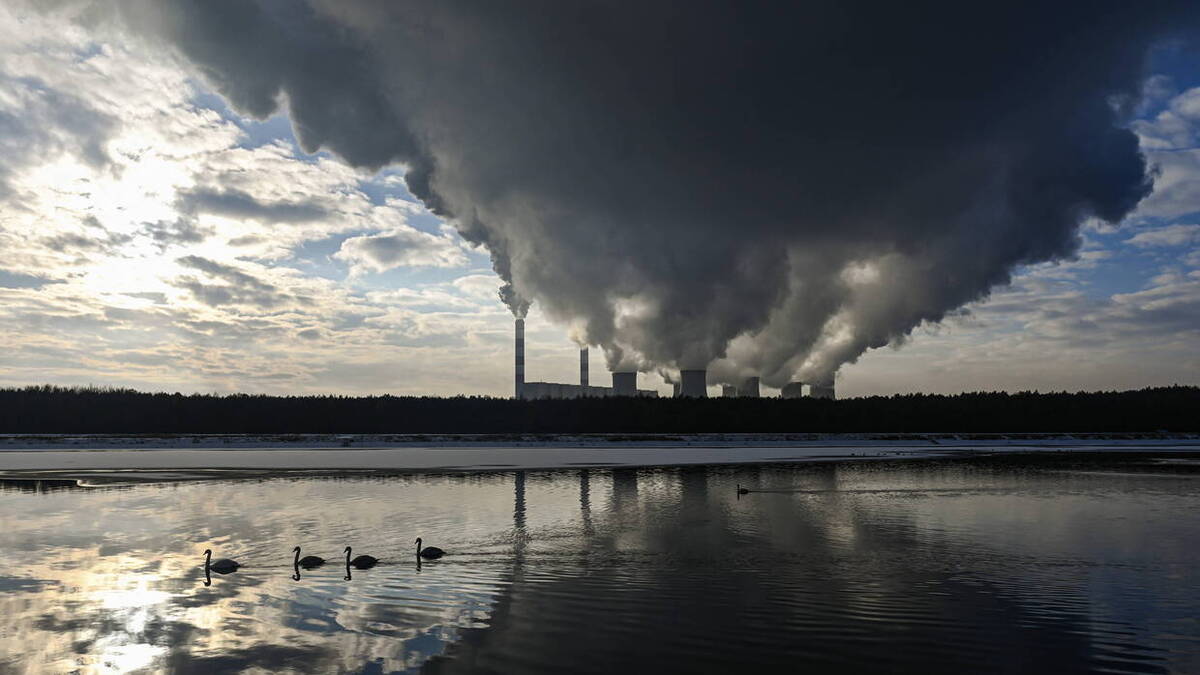 Cement z Ukrainy zagrożeniem dla polskiej branży? Nie ponosi kosztów polityki klimatycznej UE