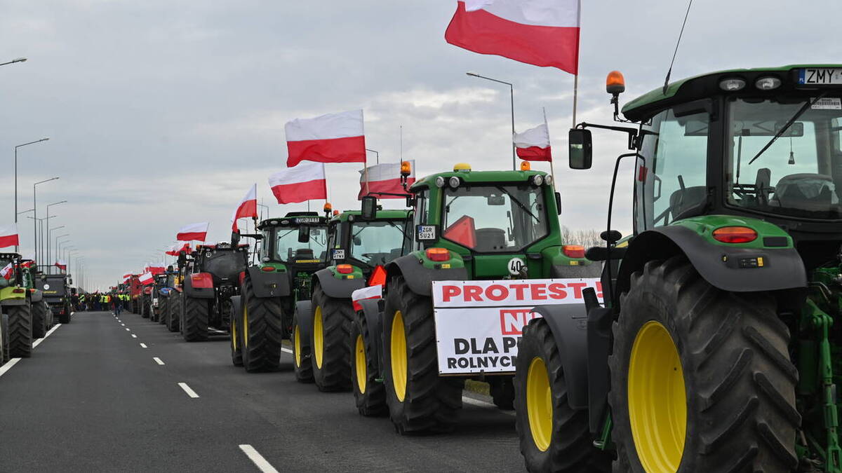 Apel celników do rolników. Chodzi o "nacisk na władzę". "Wesprzyjcie nas w tej walce!"