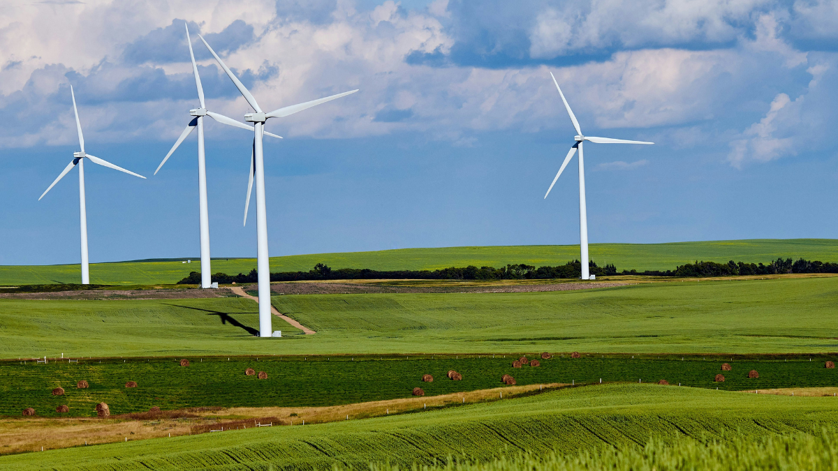 Unia Europejska podcina własną gałąź. Bruksela doprowadzi do likwidacji farm wiatrowych? Nowe przepisy mają być bardziej proekologiczne