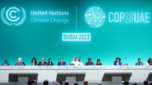 Pierwsza decyzja szczytu klimatycznego COP 28. Miliony dolarów dla krajów rozwijających się, aby pomóc im przejść na zieloną gospodarkę