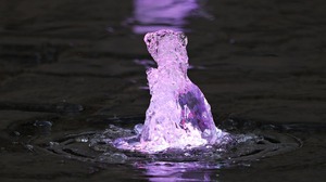 Dziennikarz TVP pije wodę z fontanny. "Edukacja zdrowotna, że rzeczywiście mucha nie siada"