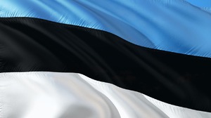 Doradca prezydenta Estonii: Poważnie omawiamy wysłanie wojsk na Ukrainę