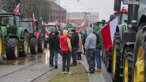 Tak taniej pszenicy nie było od lat. To kolejny cios w polskich rolników. "Jeden rok i będzie koniec rolnictwa"