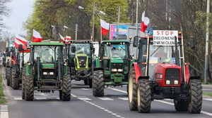 Rolnicy sprzeciwiają się Zielonemu Ładowi. Solidarność Rolnicza chce przeprowadzenia referendum. Mickiewicz: "Będziemy mieli problemy z miejscami pracy"