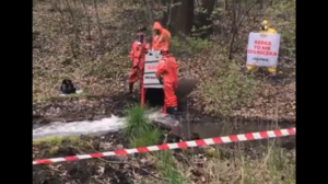 Greenpeace zablokowało odpływ kolektora wód kopalnianych Halemby do Odry. Jest mocne oświadczenie PGG na bezprawne działania ekoterrorystów