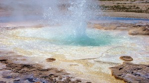 Wybuch gejzeru w Yellowstone. Turyści wpadli w panikę. Władze parku nie odnotowały ofiar