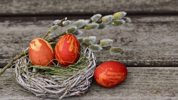 Zbliżają się święta Wielkiej Nocy. Wielu Polaków w tym czasie przygotowuje jajka do święconki. Jak sprawdzić, czy jajko jest świeże?