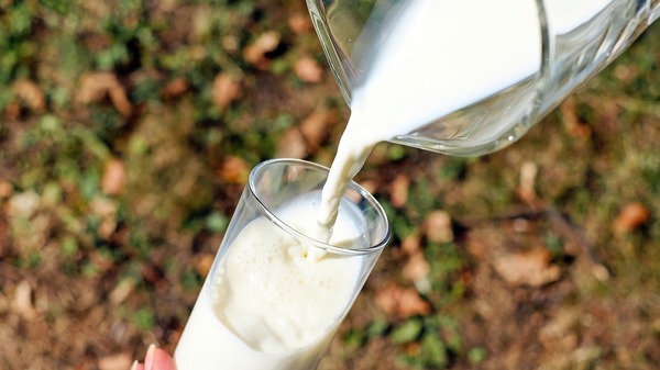 Wiele gospodarstw rozważa zakończenie produkcji mleka. Będzie konieczna interwencja