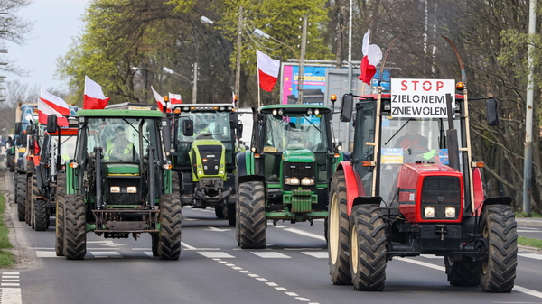 Rolnicy sprzeciwiają się Zielonemu Ładowi. Solidarność Rolnicza chce przeprowadzenia referendum. Mickiewicz: "Będziemy mieli problemy z miejscami pracy"