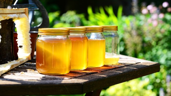 Rumuńscy pszczelarze chcą zakazu importu ukraińskiego miodu. Proszą o wsparcie finansowe z KE