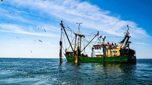 We wtorek w Luksemburgu ustalono przyszłoroczne limity połowowe. Ministrowie Unii Europejskiej uzgodnili ile rybacy będą mogli złowić śledzia. Ciecióra: "Rybacy od stycznia dalej mogą wypływać"
