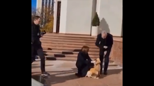 Austriacki przywódca próbuje pogłaskać psa prezydent Mołdawii. Zostaje ugryziony