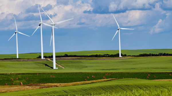 Unia Europejska podcina własną gałąź. Bruksela doprowadzi do likwidacji farm wiatrowych? Nowe przepisy mają być bardziej proekologiczne