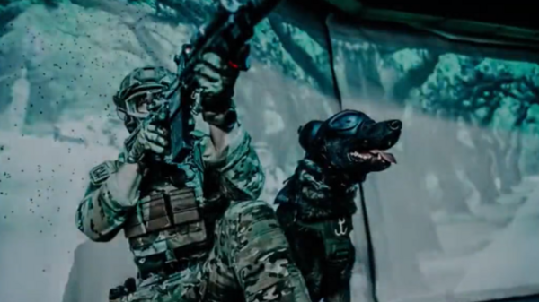 Wojsko Polskie zamierza uhonorować psy bojowe. Sztab Generalny planuje wprowadzić odpowiednie regulacje. Dzięki temu otrzymają one stopnie wojskowe