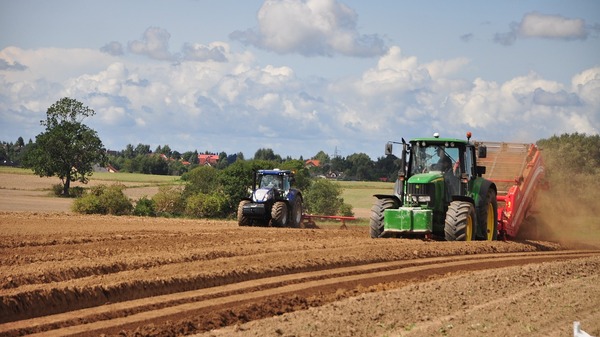 Protest rolników w Holandii. Rząd planuje przejąć tysiące gospodarstw