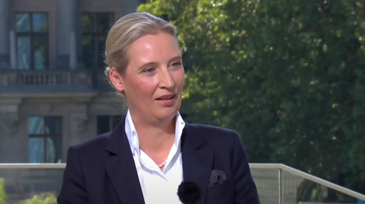 Szefowa AfD Alice Weidel